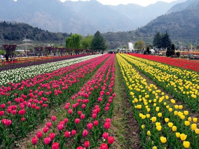 12 Days Kashmir Tour with Golden Triangle for Groups