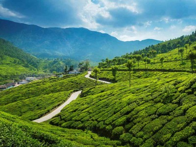 4 Nights 5 Days Kerala Tour Package for Family