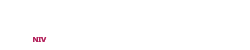 NamasteIndiaVacations Logo